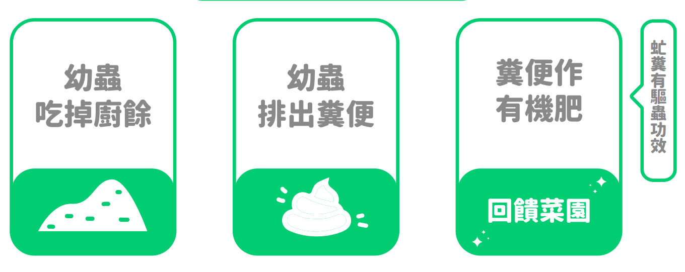 黑水虻永續廚餘處理及再利用